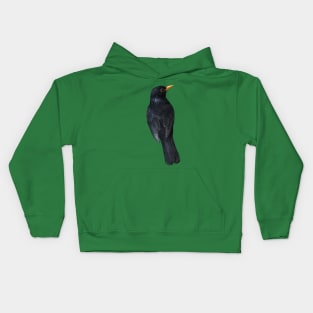 Blackbird Kids Hoodie